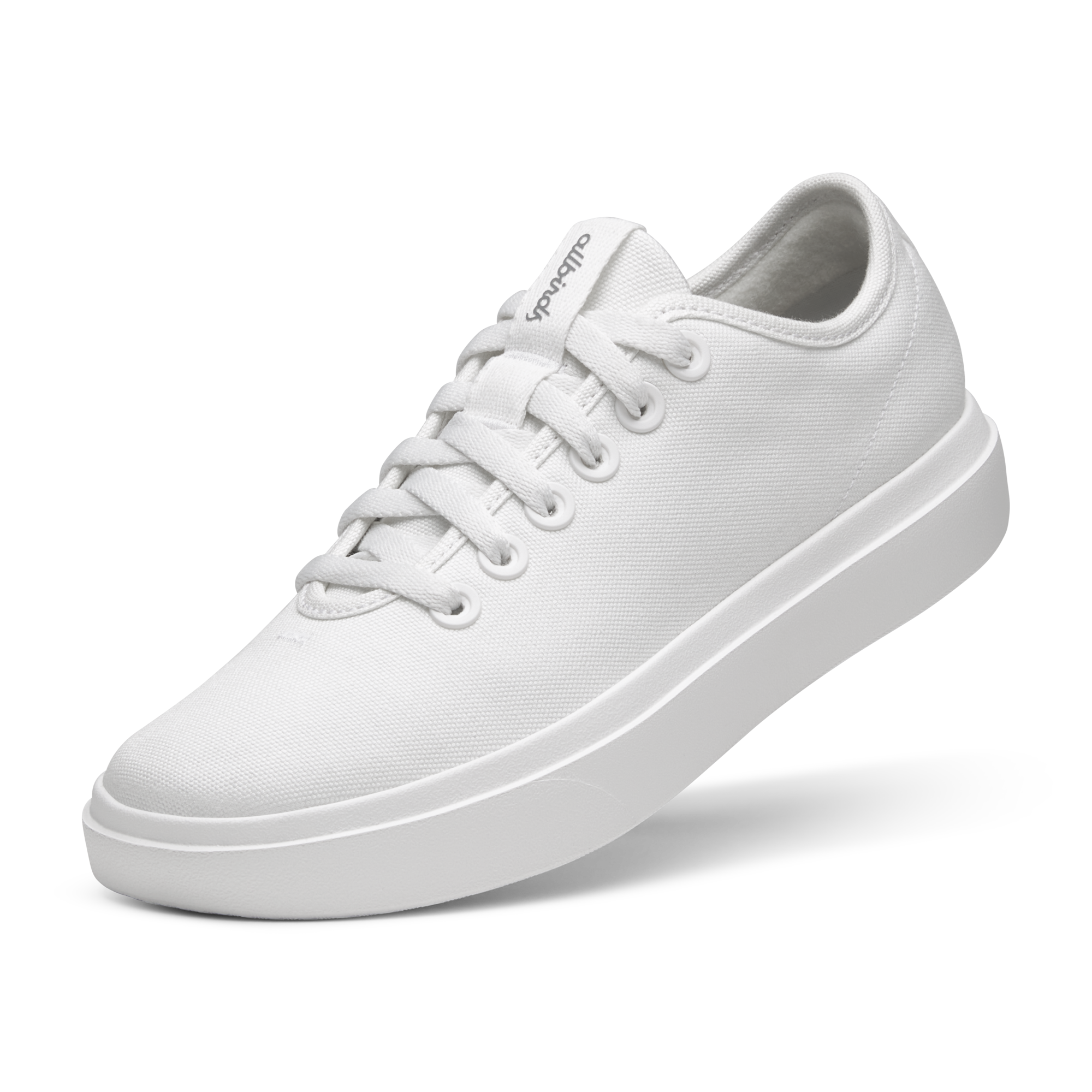 Allbirds Men's Canvas Pipers view 4