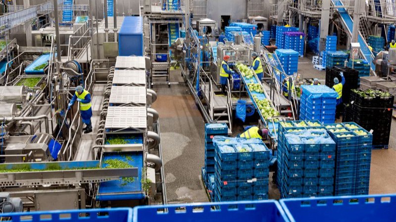 Fødevareforarbejdningsmaskiner fra HiTec Food Systems i aktion.