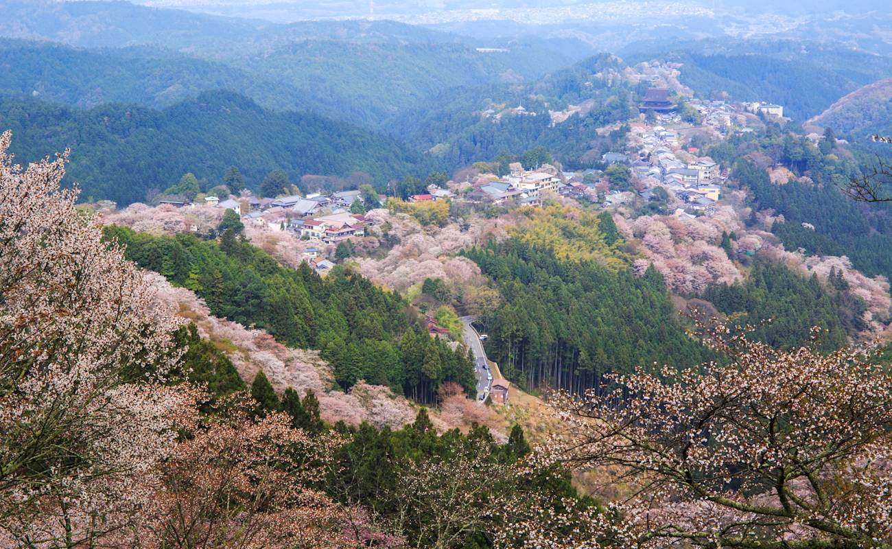 Hanayagura Observatory Official Nara Travel Guide Hanayagura Observatory Official Nara Travel Guide