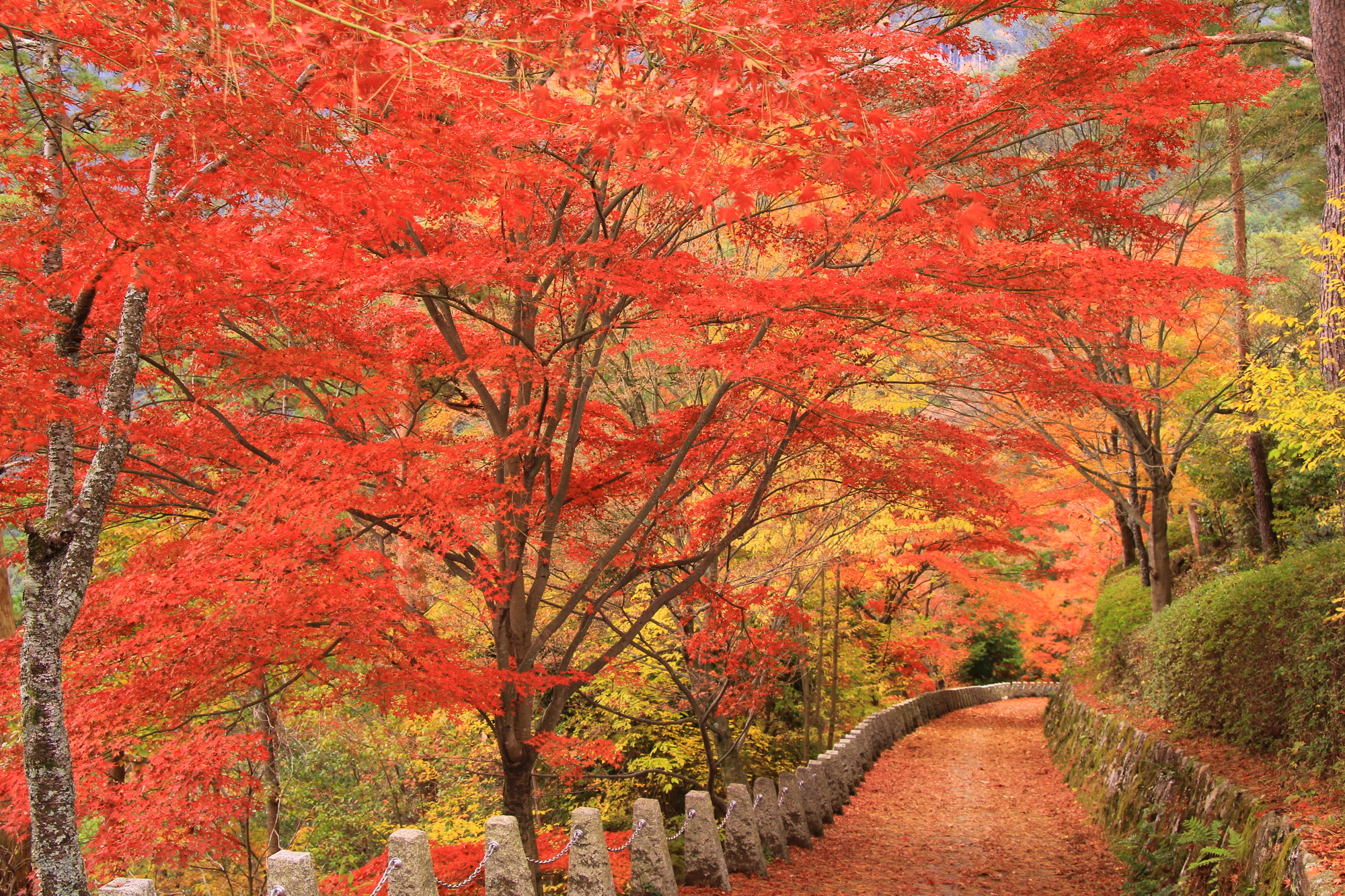 Mt. Yoshino - Official Nara Travel Guide