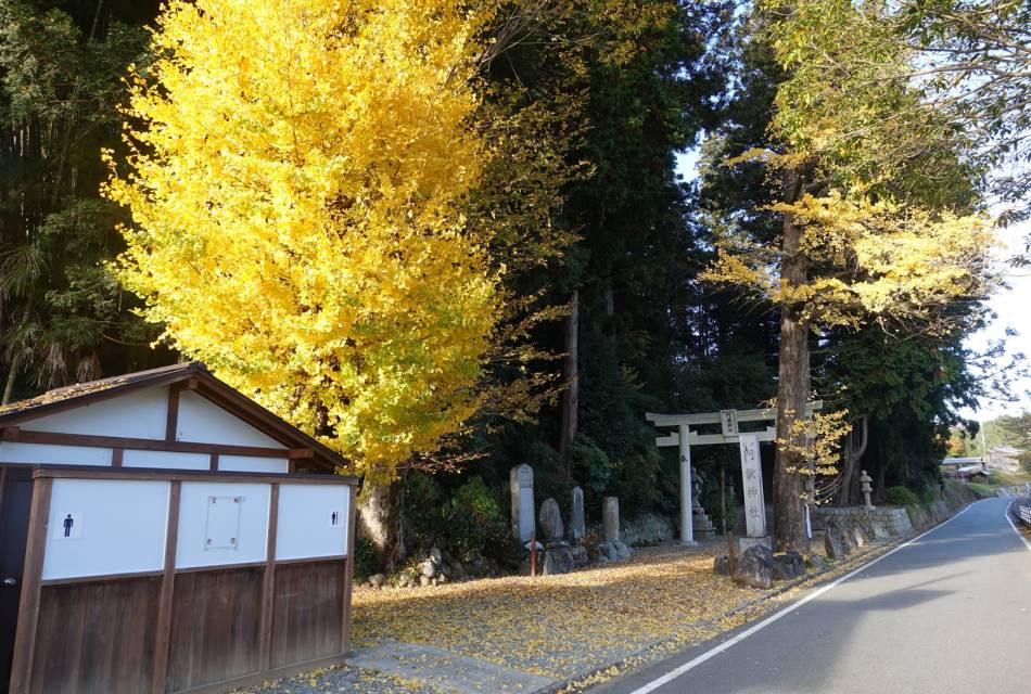 Kadofusa Jinja Shrine 01