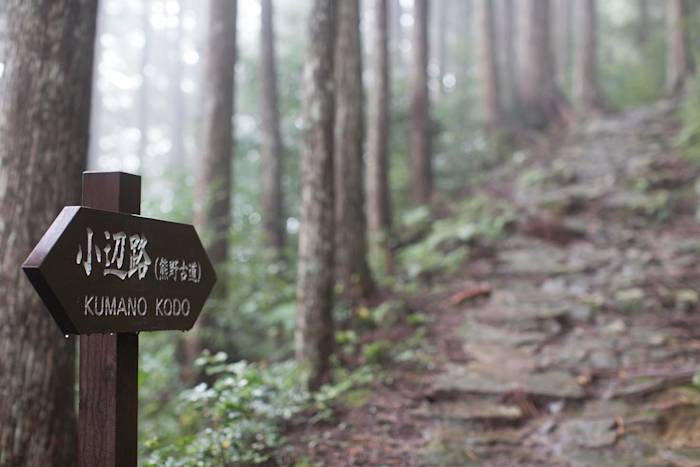 Kumano Kodo Kohechi Pilgrimage Route 03