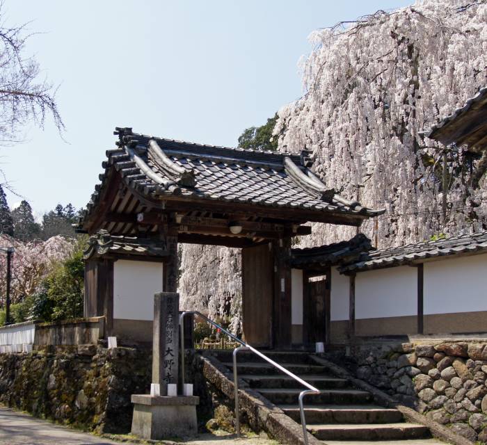 Ohnoji Temple 01