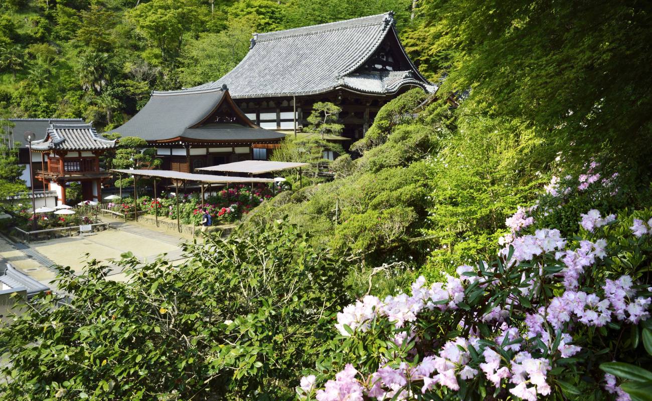 Okadera Temple (Ryugaiji Temple)