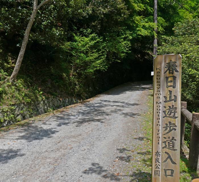Mt. Wakakusa - Mt. Kasuga Nature Trail 02