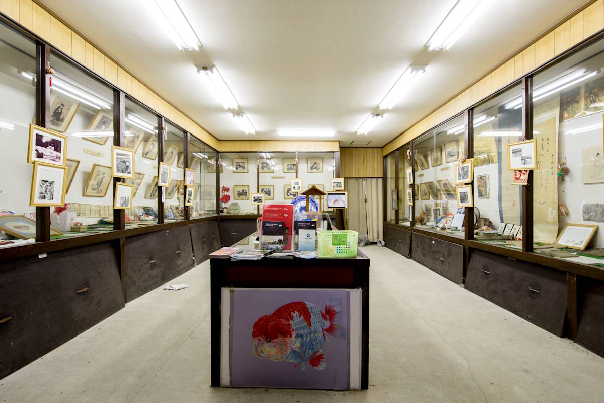 Koriyama Goldfish Museum - Official Nara Travel Guide