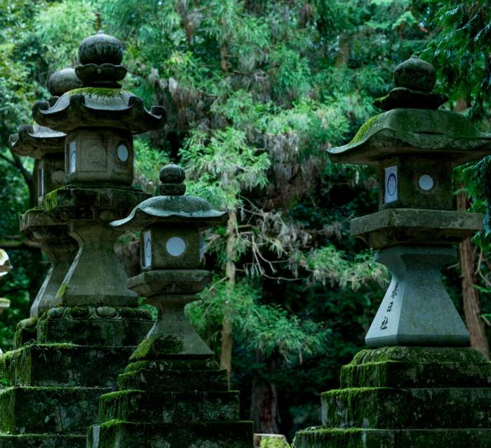 Kasugataisha Shrine 01