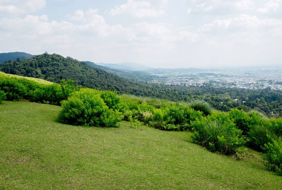 Mt. Wakakusa 01