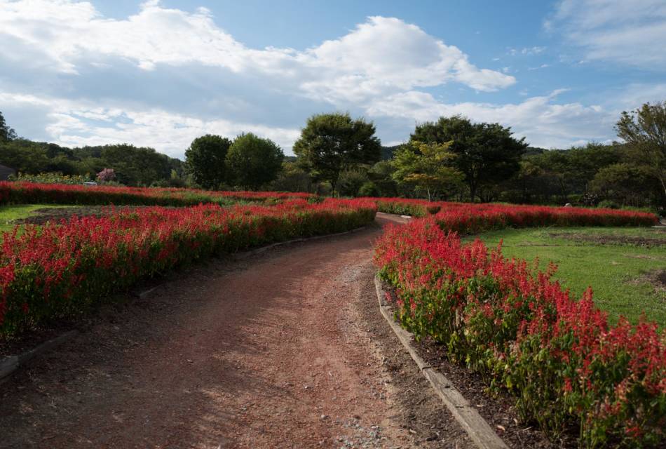 Shigisan Nodokamura Farm 01