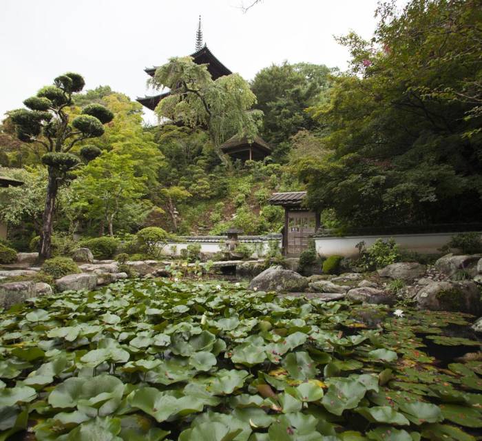 Taimadera Temple 01