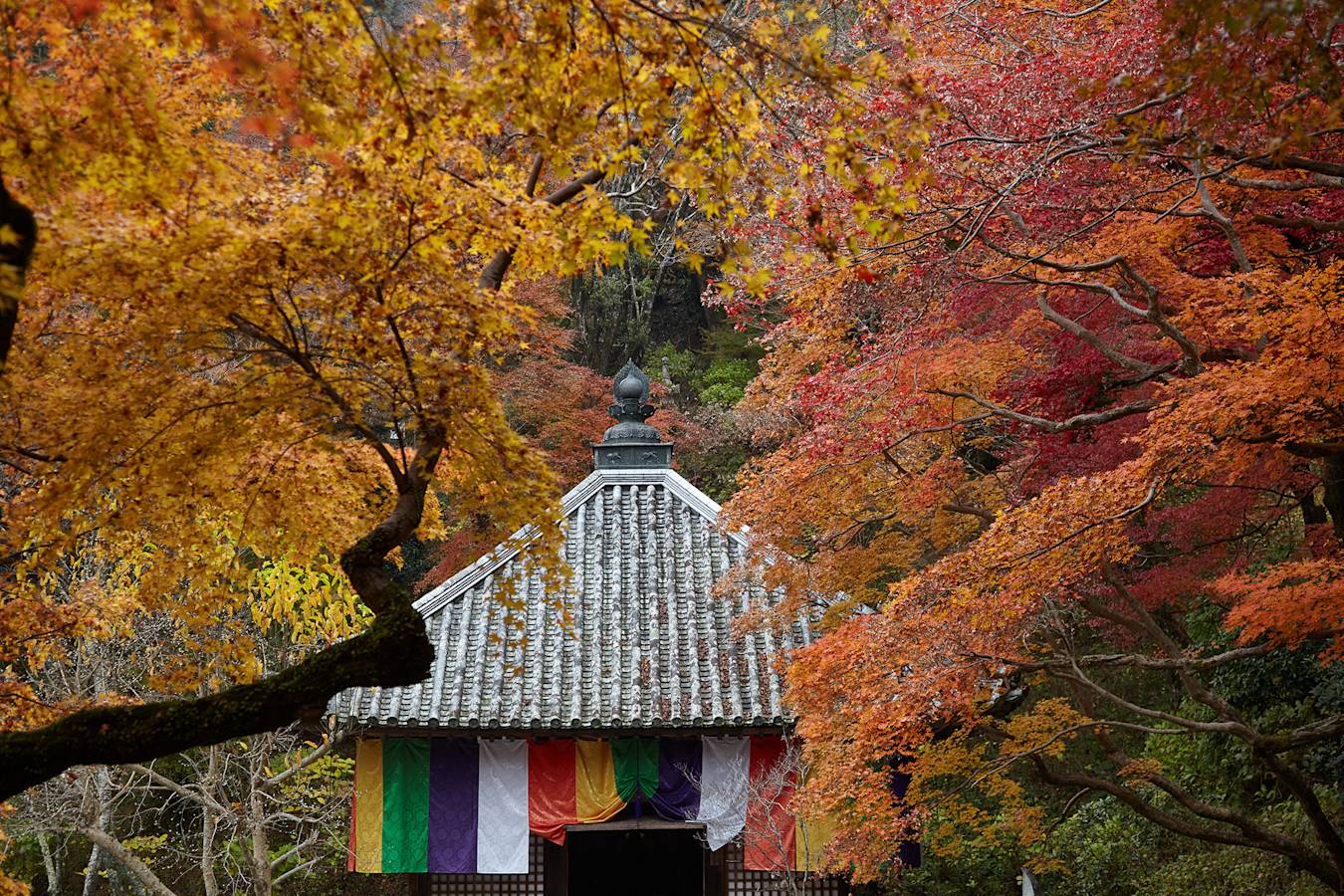 Sakurai Area Guide Official Nara Travel Guide