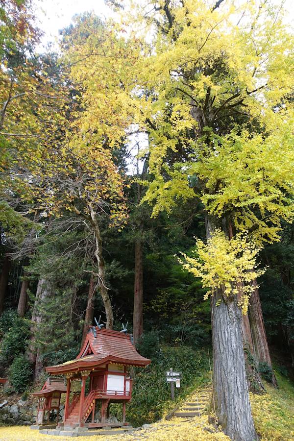 Sakurai Area Guide Official Nara Travel Guide