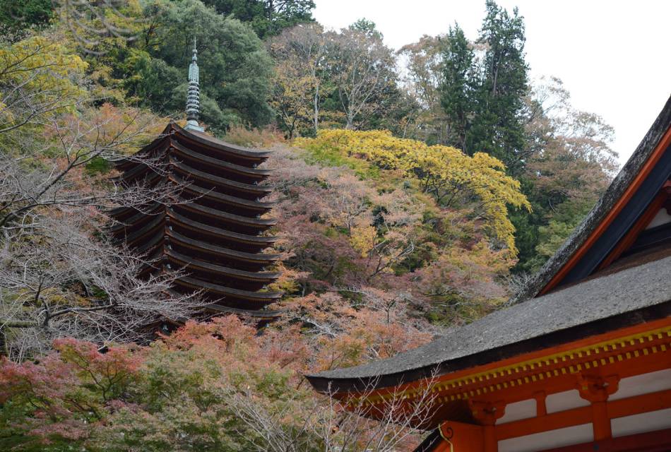 Tanzan Jinja Shrine 01