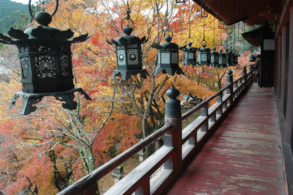 Tanzan Jinja Shrine 01