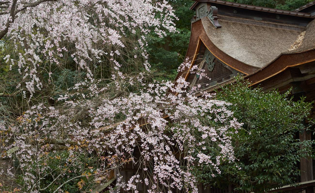 Yoshino Mikumari-jinja Shrine