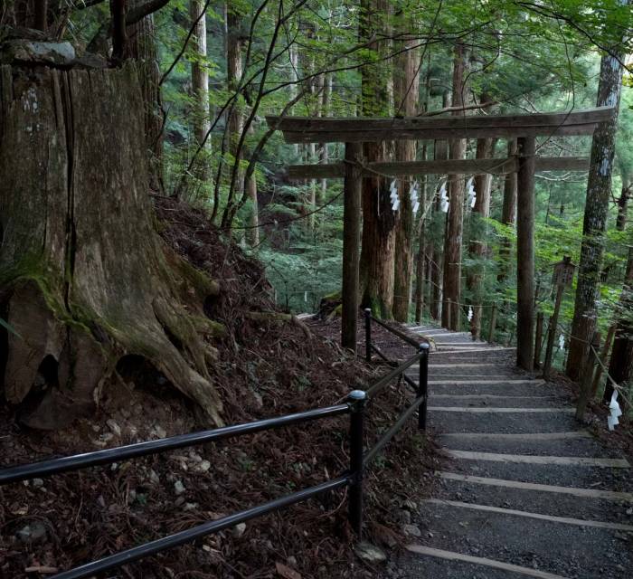 Tamakijinja Shrine 03