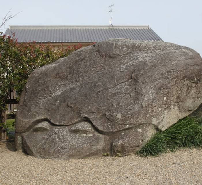 Kameishi Tortoise Stone 02