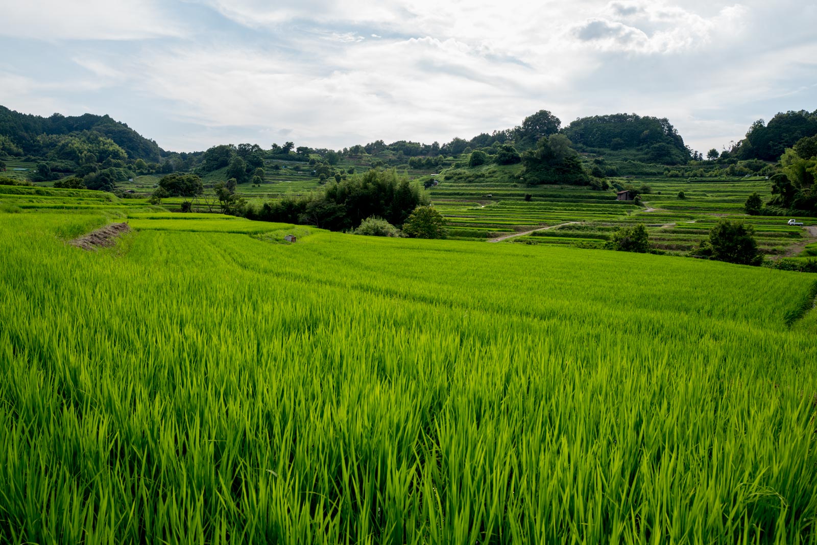 Inabuchi Tanada Terraced Rice Fields - Official Nara Travel Guide