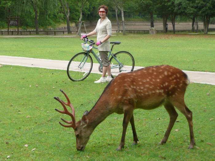 Cycling Tours Japan 01