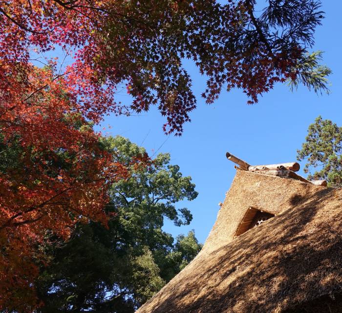 Yatogi-jinja Shrine 03