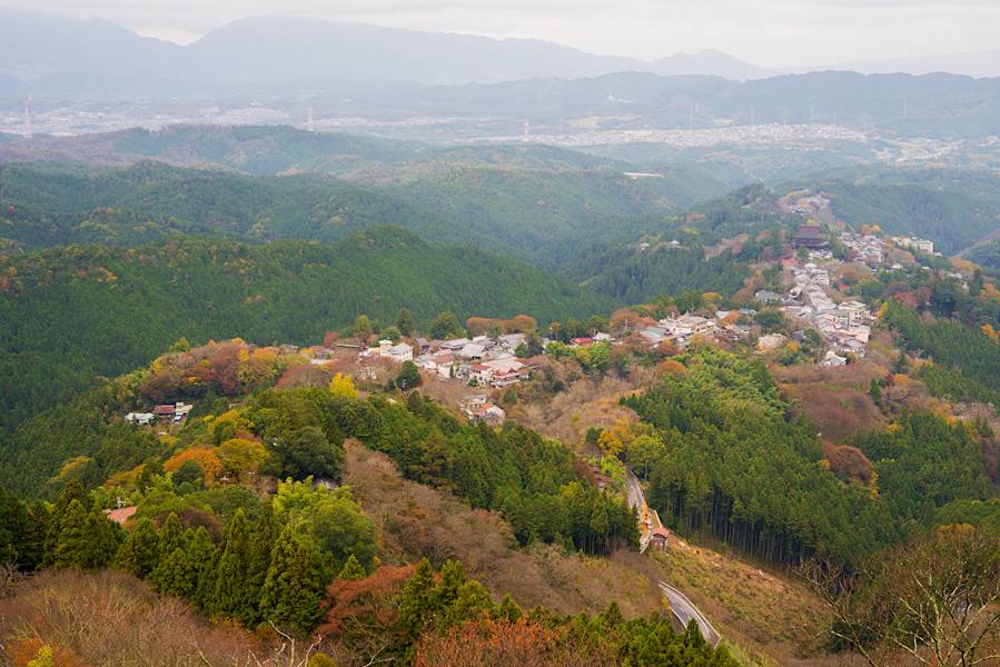 Hanayagura Observatory Official Nara Travel Guide