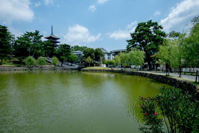 Sarusawa Pond 01