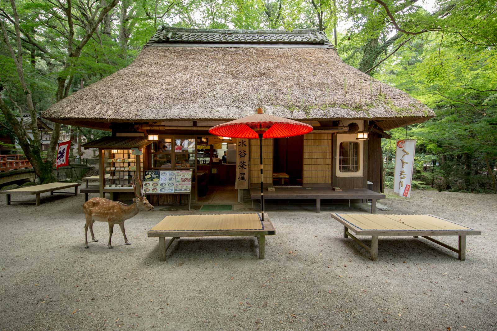 Mizuyachaya - Official Nara Travel Guide