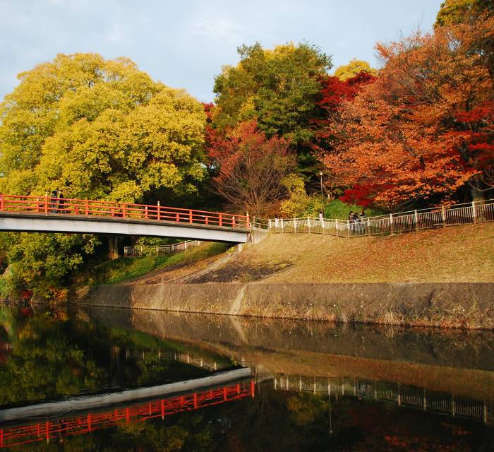 Tatsutagawa Autumn Leaves Festival 01