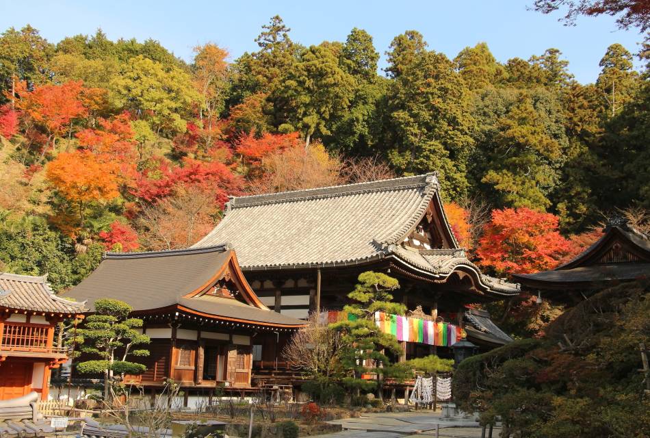 Okadera Temple (Ryugaiji Temple) 01