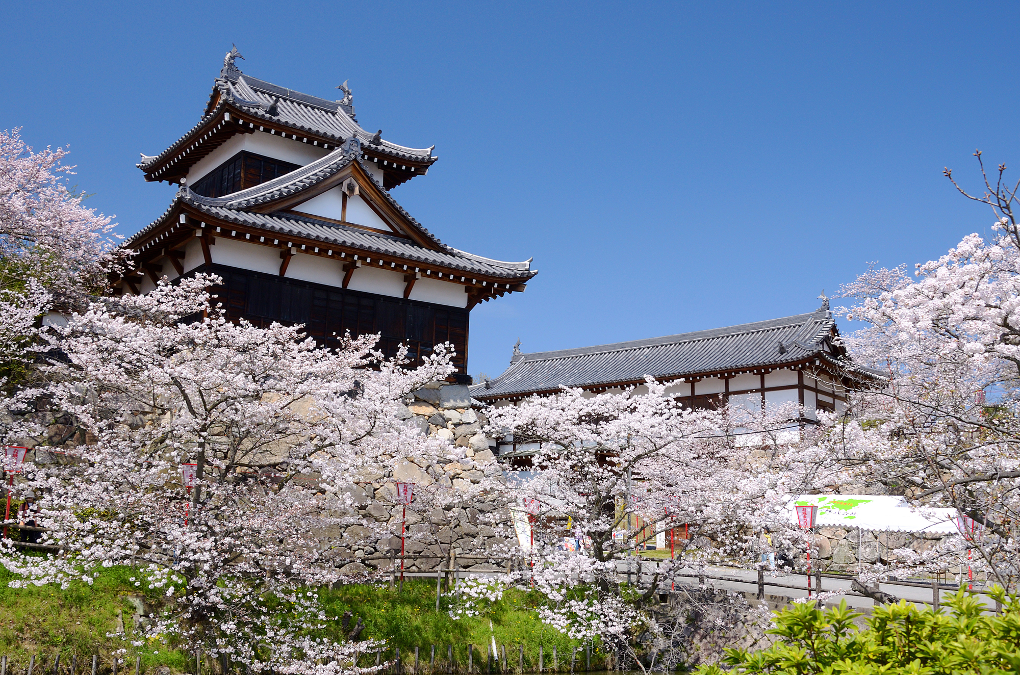 Former Site of Kohriyamajo Castle - Official Nara Travel Guide