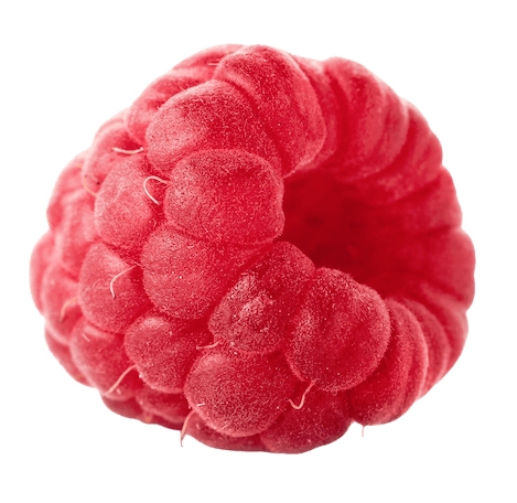 A single juicy raspberry.