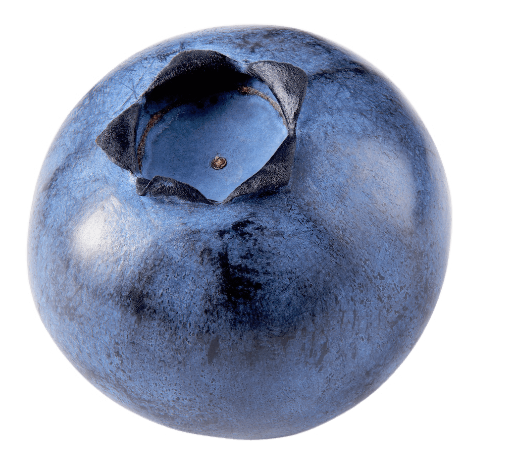 A blueberry.