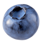 A blueberry.