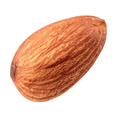An almond.