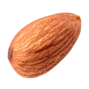 An almond.