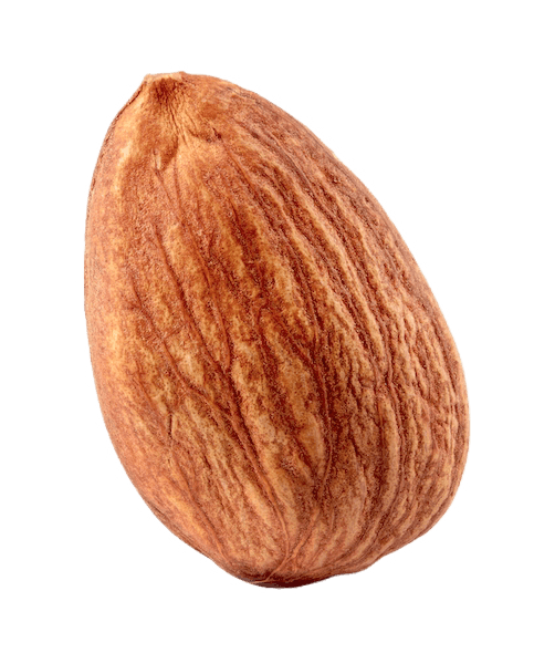 An almond.