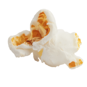 A single, fluffy kernel of plain popcorn