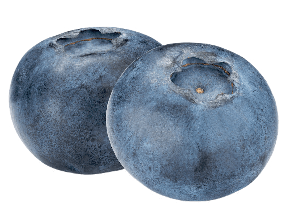 Two blueberries.