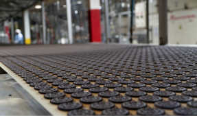 A conveyor belt with chocolate cookies in a grid