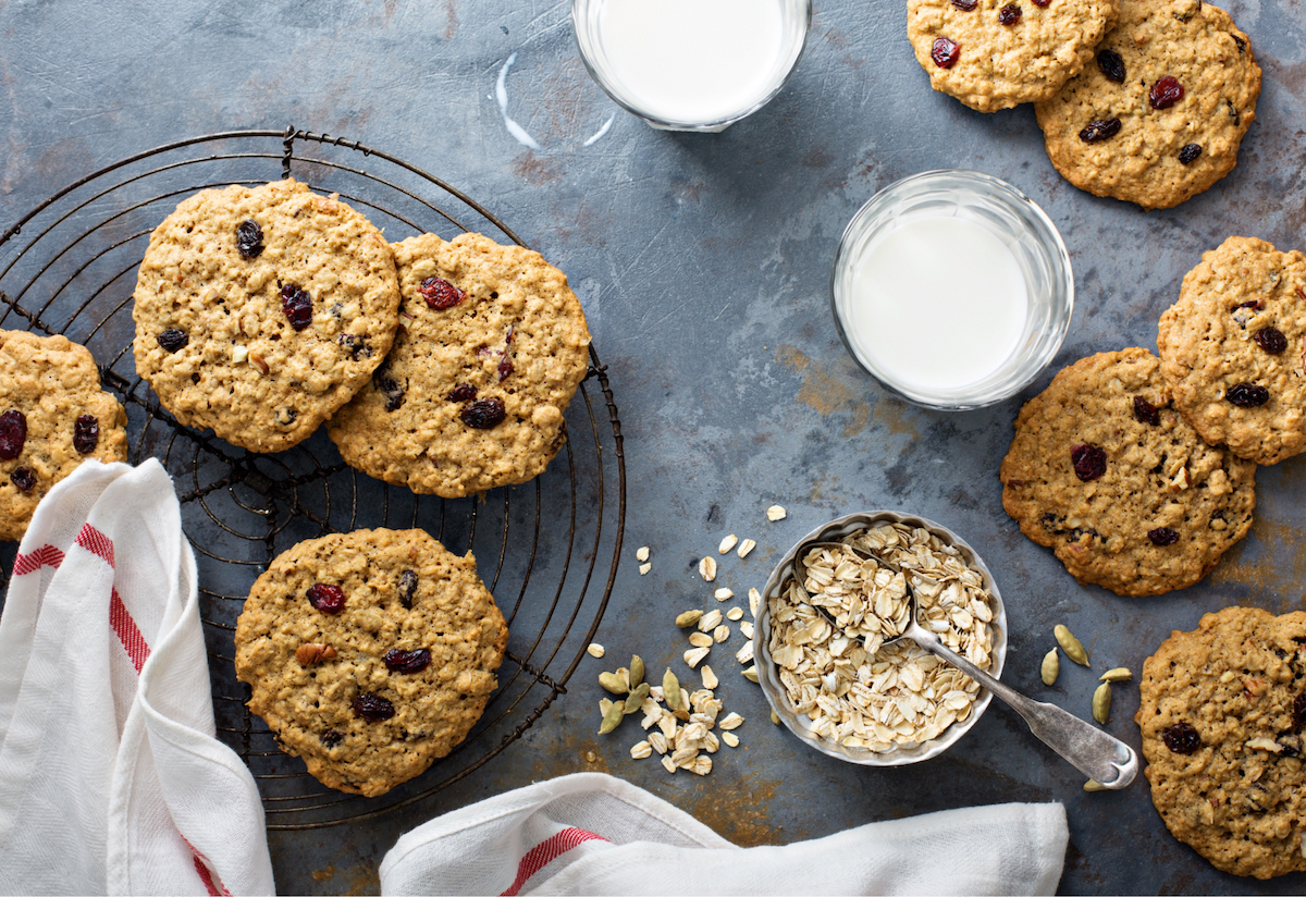 Oatmeal craisin cookies on a grey backdrop