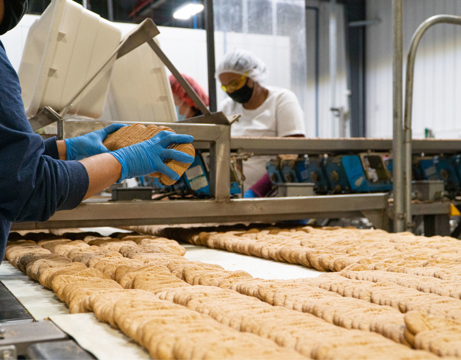 Quality control staff monitor the production of health bars