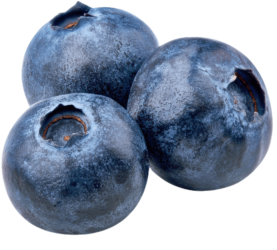 Three plump blueberries on a transparent background