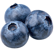Three plump blueberries on a transparent background