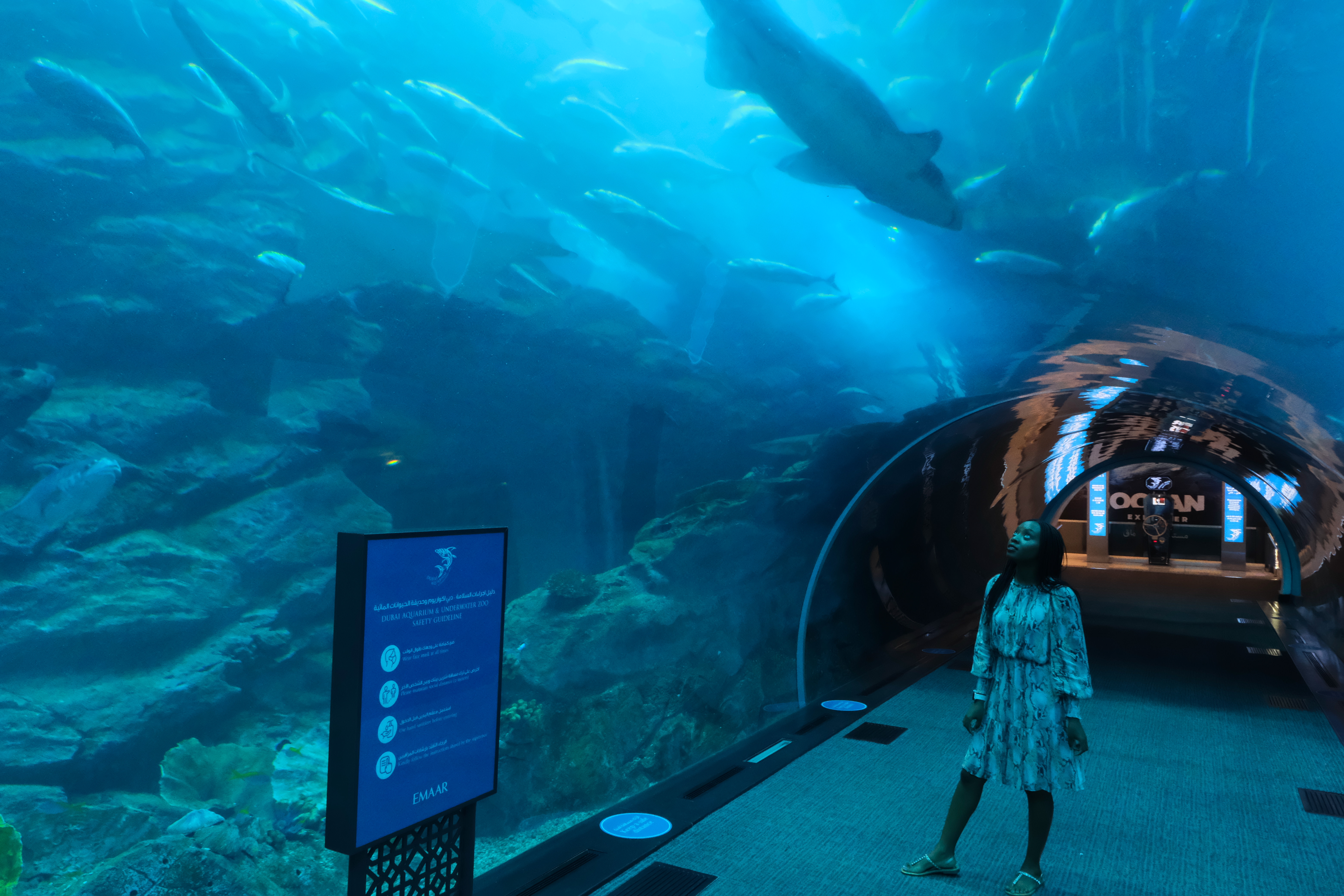 Tingu Travel Dubai Mall Aquarium