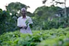 Mike Muizebelt Webversie-Acorn Uganda MMU-7548