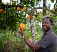 FarmStrong Foundation Côte d'Ivoire