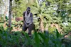 Mike Muizebelt Webversie-Acorn Uganda MMU-7484