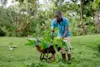 Mike Muizebelt Webversie-Acorn Uganda MMU-7586-2