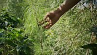 WETPA Kenya