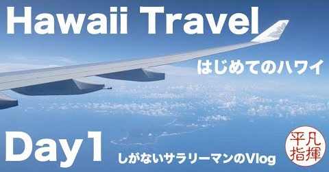はじめてのハワイ Day1 「羽田空港〜ホノルル空港、ホテルでの食事」